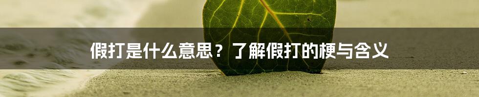 假打是什么意思？了解假打的梗与含义