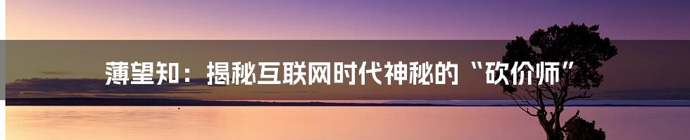 薄望知：揭秘互联网时代神秘的“砍价师”