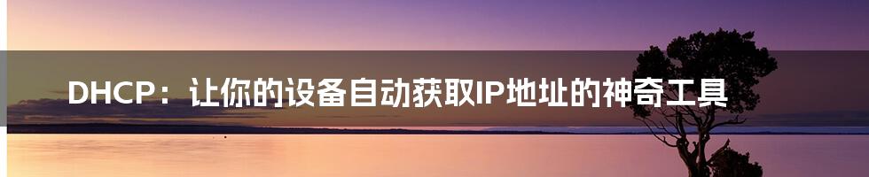 DHCP：让你的设备自动获取IP地址的神奇工具