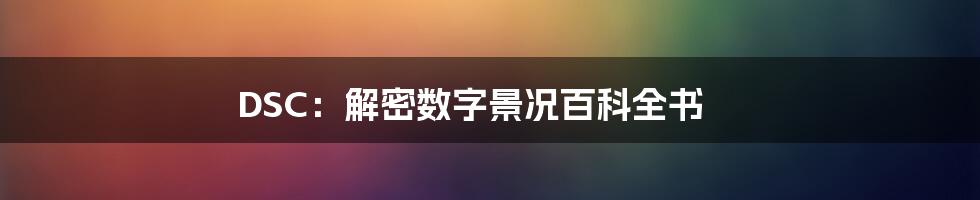 DSC：解密数字景况百科全书