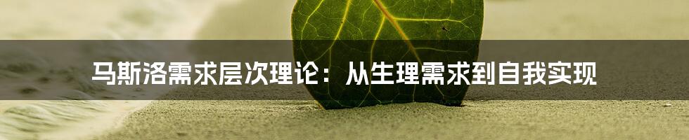 马斯洛需求层次理论：从生理需求到自我实现