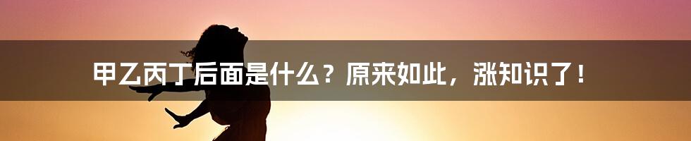 甲乙丙丁后面是什么？原来如此，涨知识了！