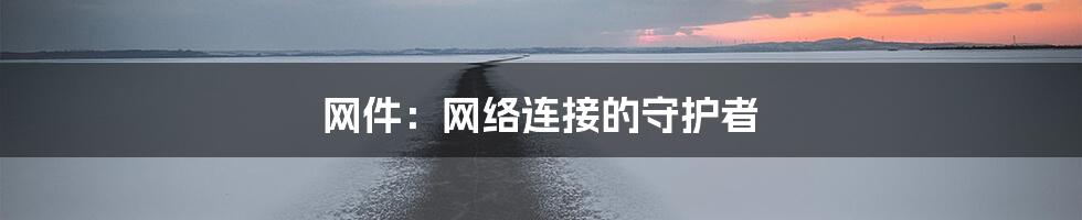 网件：网络连接的守护者