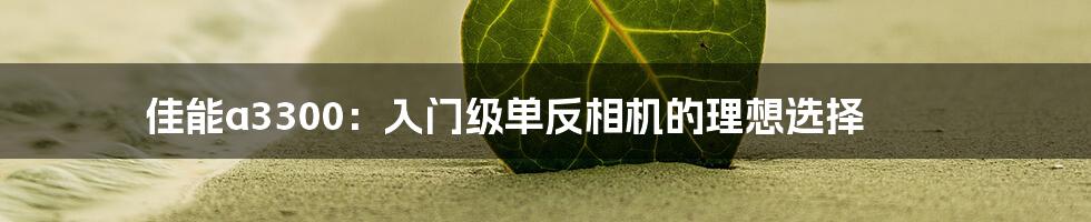 佳能a3300：入门级单反相机的理想选择