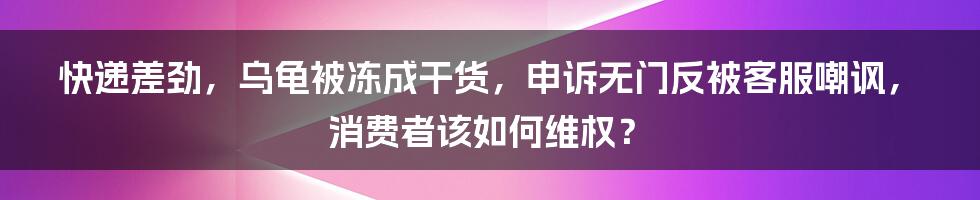 快递差劲，乌龟被冻成干货，申诉无门反被客服嘲讽，消费者该如何维权？