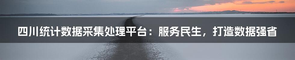 四川统计数据采集处理平台：服务民生，打造数据强省