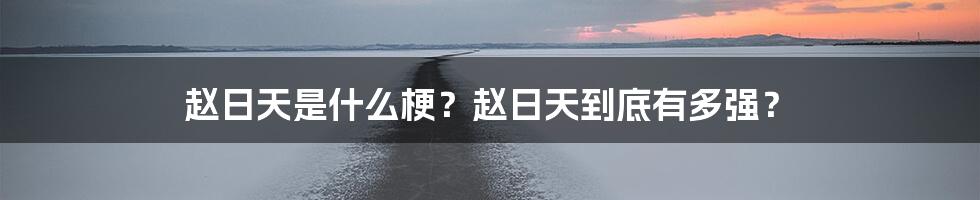 赵日天是什么梗？赵日天到底有多强？