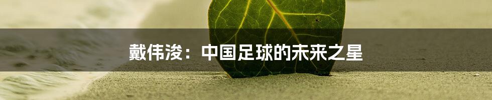 戴伟浚：中国足球的未来之星