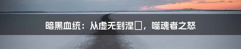 暗黑血统：从虚无到涅槃，噬魂者之怒