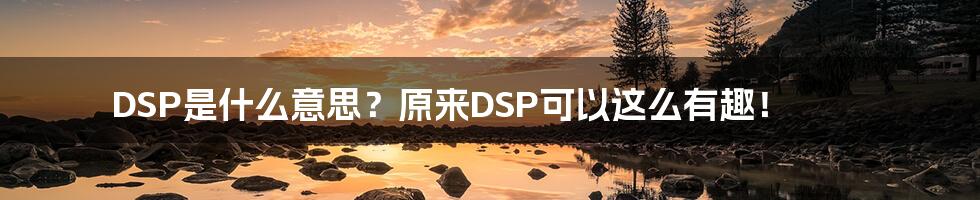 DSP是什么意思？原来DSP可以这么有趣！