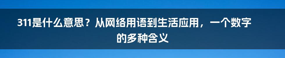 311是什么意思？从网络用语到生活应用，一个数字的多种含义