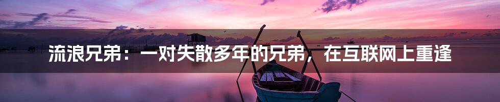 流浪兄弟：一对失散多年的兄弟，在互联网上重逢