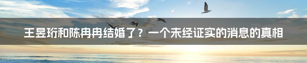 王昱珩和陈冉冉结婚了？一个未经证实的消息的真相