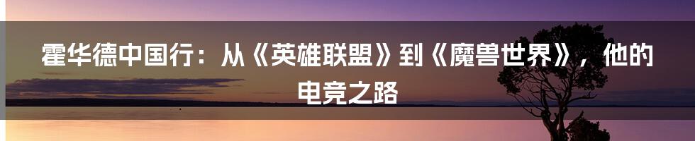 霍华德中国行：从《英雄联盟》到《魔兽世界》，他的电竞之路