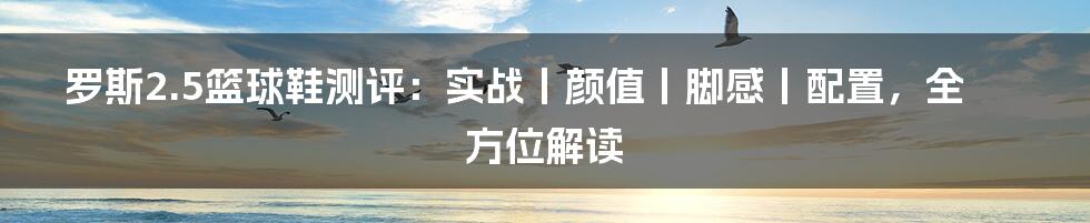 罗斯2.5篮球鞋测评：实战丨颜值丨脚感丨配置，全方位解读