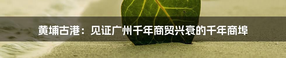 黄埔古港：见证广州千年商贸兴衰的千年商埠