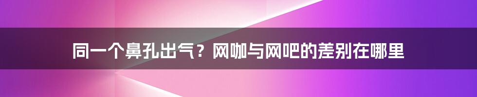 同一个鼻孔出气？网咖与网吧的差别在哪里