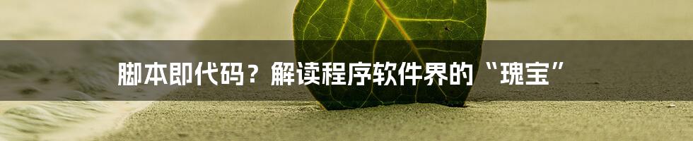 脚本即代码？解读程序软件界的“瑰宝”