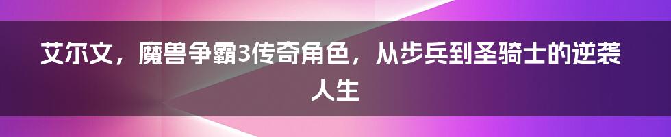 艾尔文，魔兽争霸3传奇角色，从步兵到圣骑士的逆袭人生