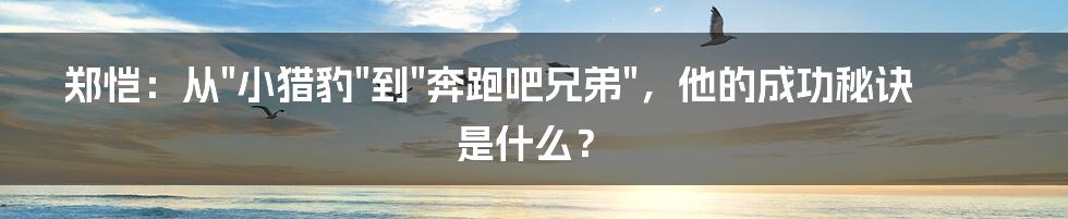 郑恺：从"小猎豹"到"奔跑吧兄弟"，他的成功秘诀是什么？