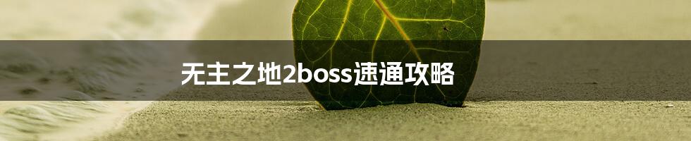 无主之地2boss速通攻略