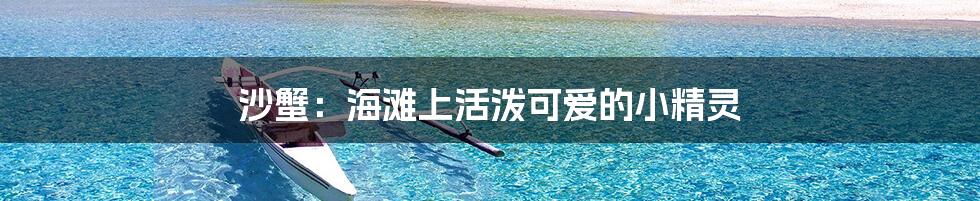 沙蟹：海滩上活泼可爱的小精灵