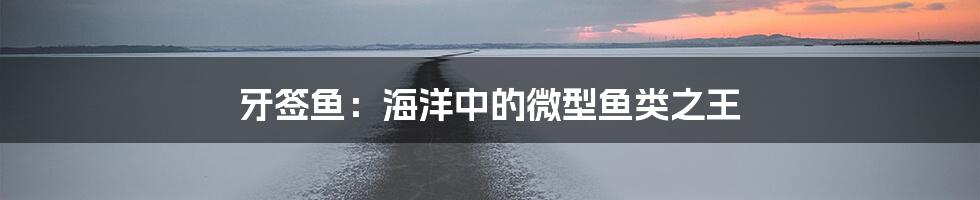 牙签鱼：海洋中的微型鱼类之王