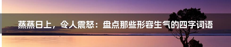 蒸蒸日上，令人震怒：盘点那些形容生气的四字词语