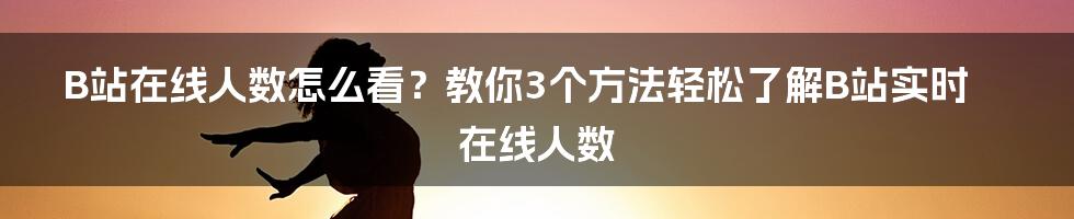 B站在线人数怎么看？教你3个方法轻松了解B站实时在线人数