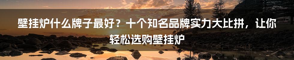 壁挂炉什么牌子最好？十个知名品牌实力大比拼，让你轻松选购壁挂炉