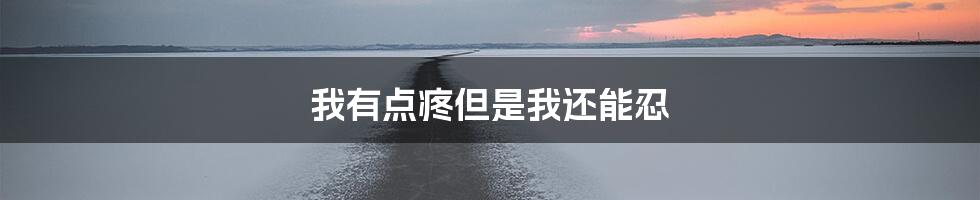 我有点疼但是我还能忍