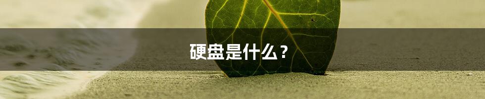 硬盘是什么？