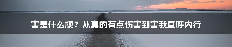 害是什么梗？从真的有点伤害到害我直呼内行