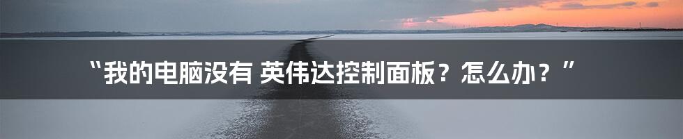 “我的电脑没有 英伟达控制面板？怎么办？”