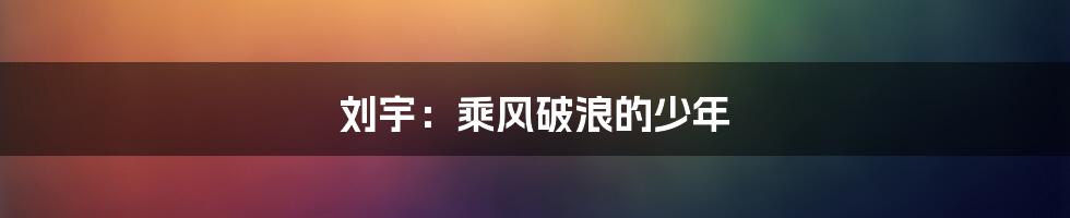 刘宇：乘风破浪的少年