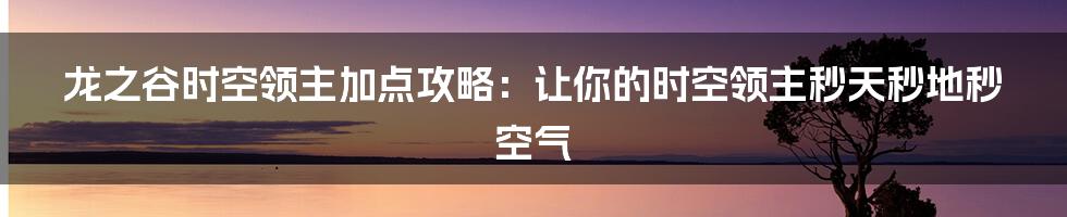 龙之谷时空领主加点攻略：让你的时空领主秒天秒地秒空气