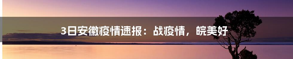 3日安徽疫情速报：战疫情，皖美好