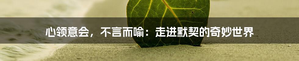 心领意会，不言而喻：走进默契的奇妙世界