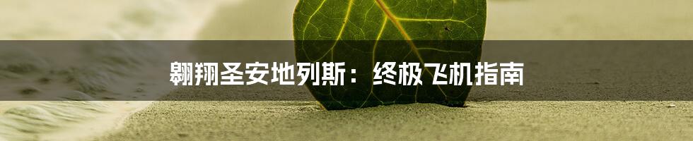 翱翔圣安地列斯：终极飞机指南