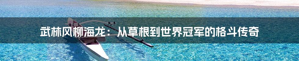 武林风柳海龙：从草根到世界冠军的格斗传奇