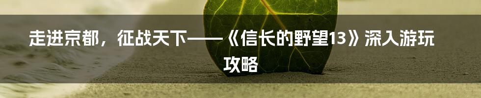 走进京都，征战天下——《信长的野望13》深入游玩攻略