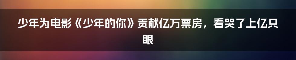 少年为电影《少年的你》贡献亿万票房，看哭了上亿只眼