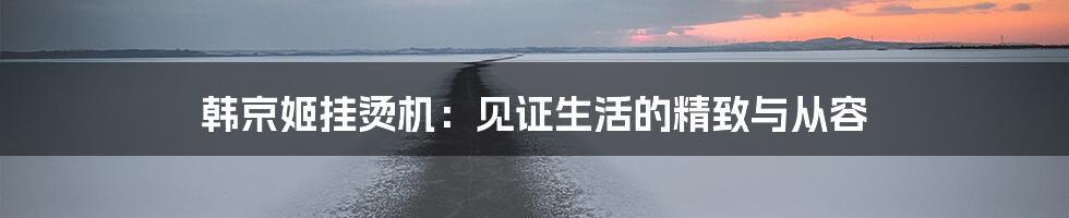 韩京姬挂烫机：见证生活的精致与从容