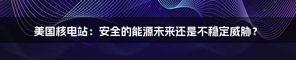 美国核电站：安全的能源未来还是不稳定威胁？