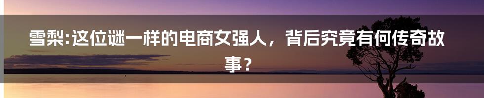 雪梨:这位谜一样的电商女强人，背后究竟有何传奇故事？