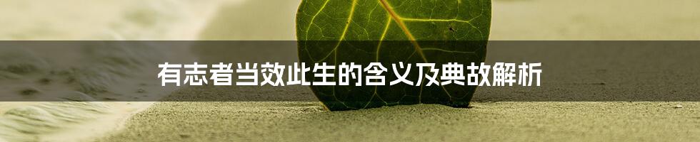 有志者当效此生的含义及典故解析