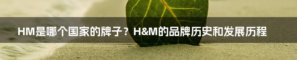 HM是哪个国家的牌子？H&M的品牌历史和发展历程