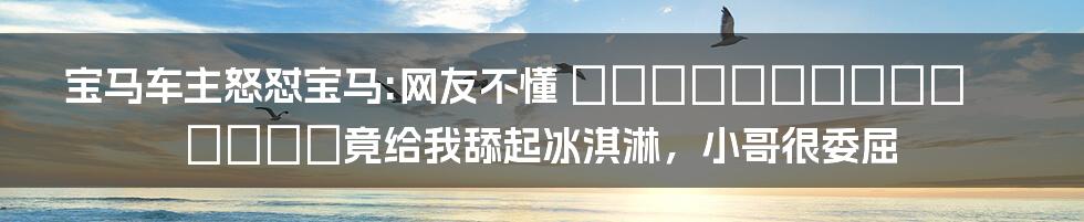 宝马车主怒怼宝马:网友不懂 английский язык竟给我舔起冰淇淋，小哥很委屈