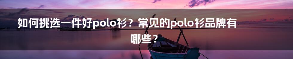 如何挑选一件好polo衫？常见的polo衫品牌有哪些？