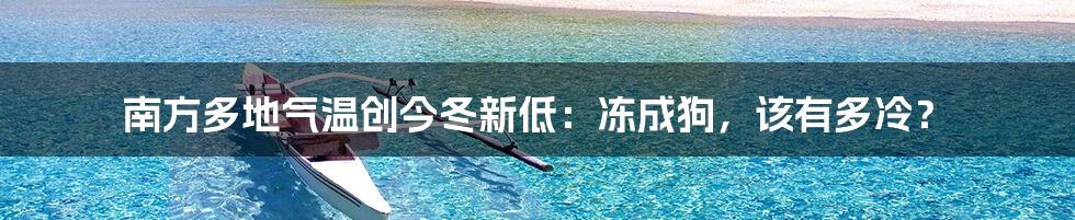 南方多地气温创今冬新低：冻成狗，该有多冷？